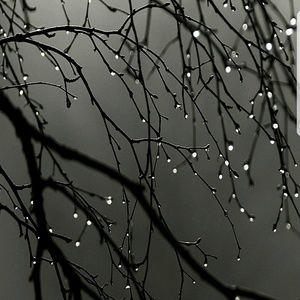 Meet your Posher, Jayme